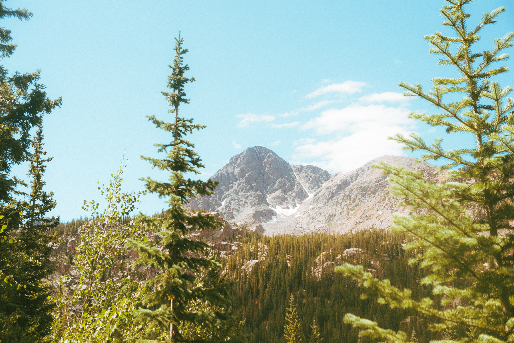 Towering mountain peak framed by pine trees on a clear day